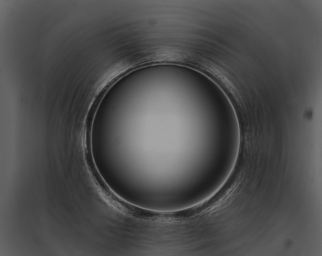 X0000095681034200801151121