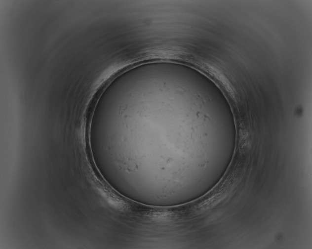 X0000095681035200801151121