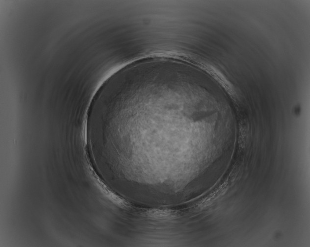 X0000095681036200801151121