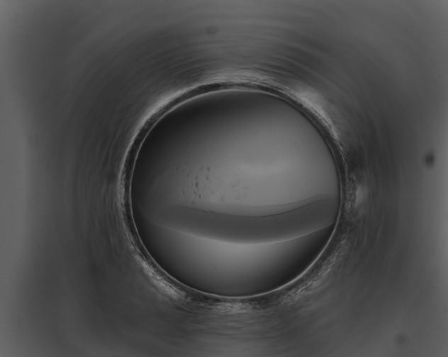 X0000095681037200801151121