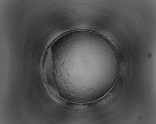 X0000095681039200801151121