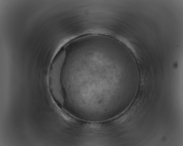 X0000095681040200801151121