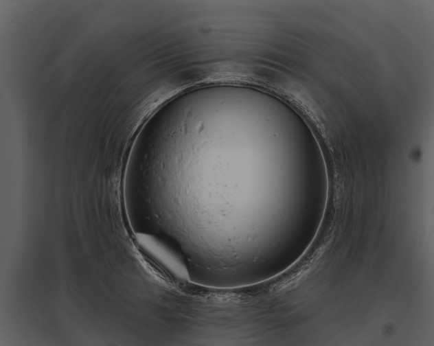 X0000095681041200801151121