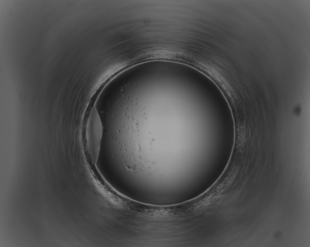 X0000095681042200801151121