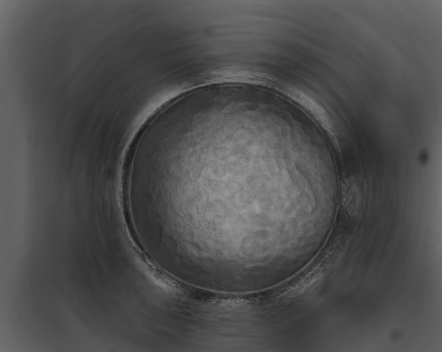 X0000095681043200801151121