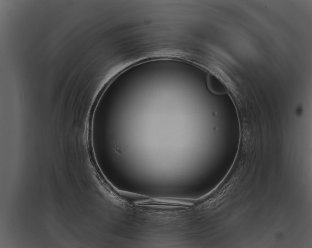 X0000095681044200801151121