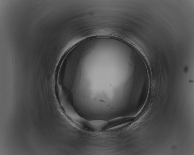 X0000095681045200801151121