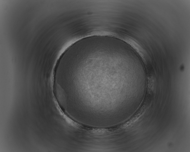 X0000095681046200801151121