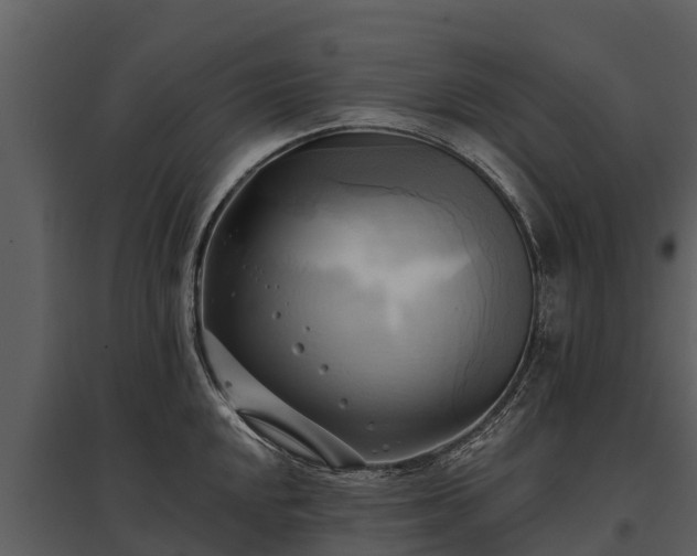 X0000095681048200801151121