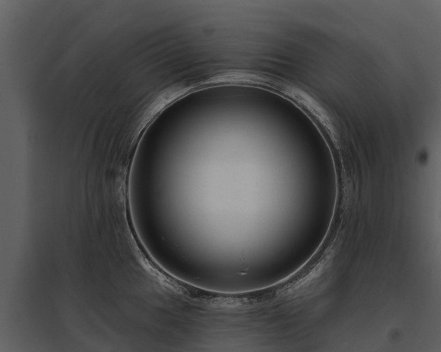 X0000095681049200801151121