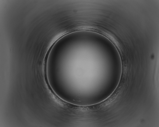 X0000095681050200801151121