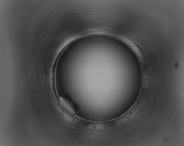 X0000095681051200801151121