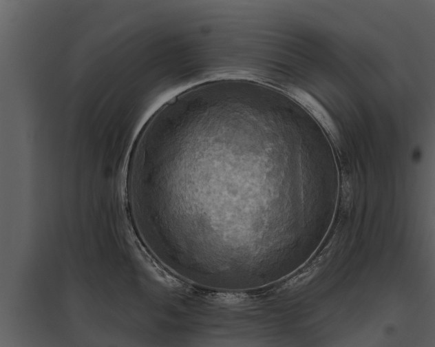 X0000095681052200801151121