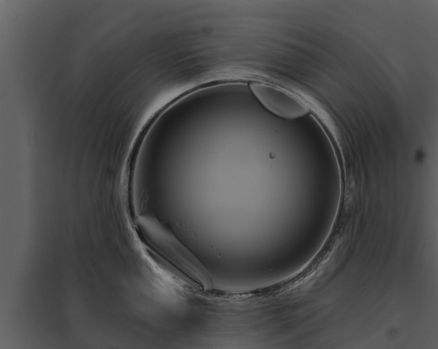 X0000095681053200801151121