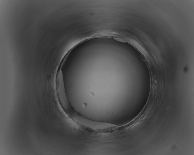 X0000095681055200801151121