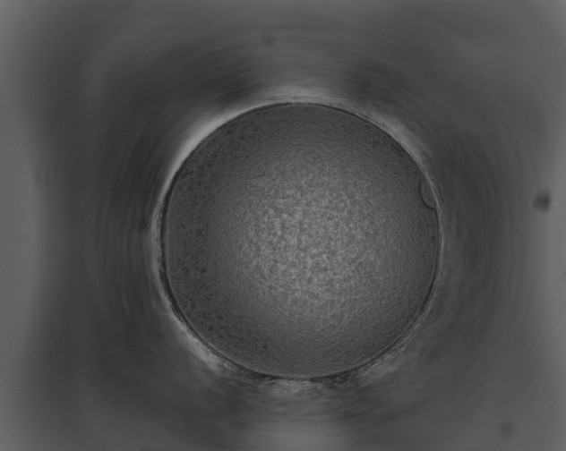 X0000095681056200801151121
