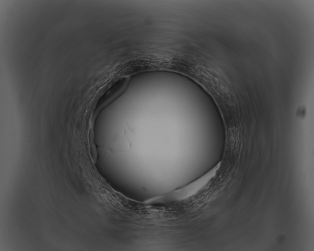 X0000095681057200801151121