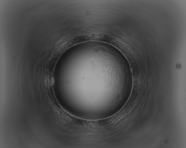 X0000095681058200801151121