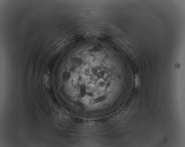 X0000095681059200801151121