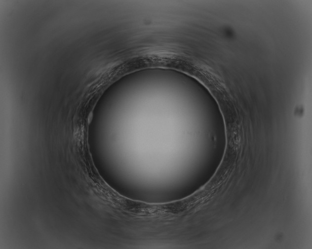 X0000095681061200801151121