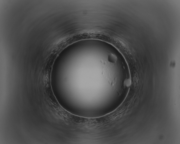 X0000095681062200801151121
