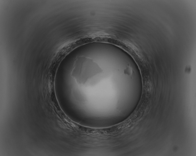 X0000095681063200801151121