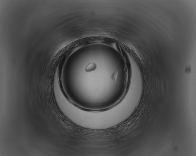 X0000095681064200801151121