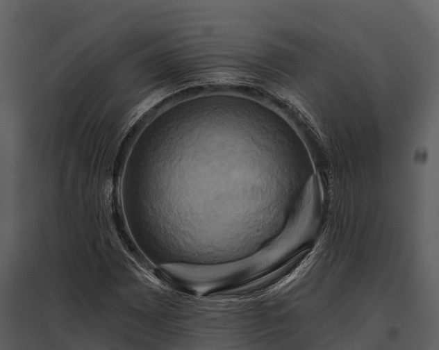 X0000095681065200801151121