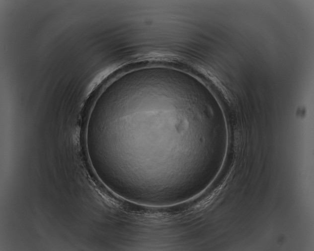 X0000095681066200801151121
