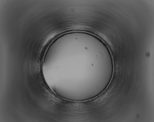 X0000095681067200801151121