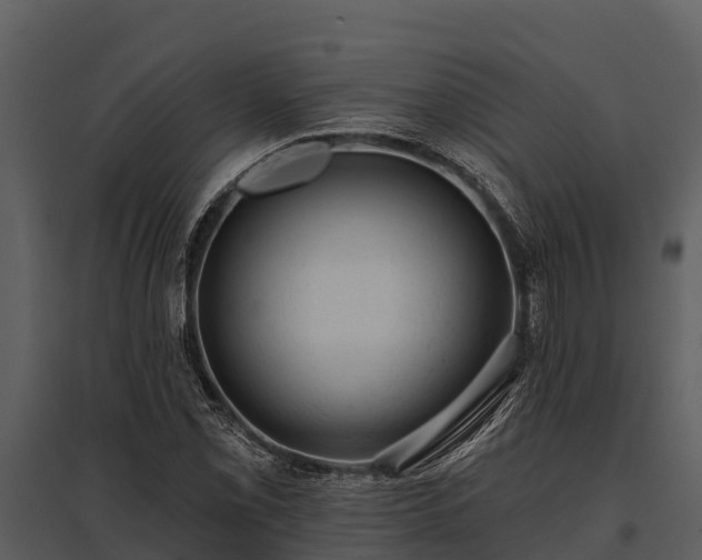 X0000095681069200801151121