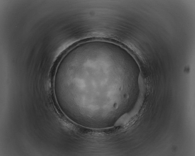 X0000095681070200801151121