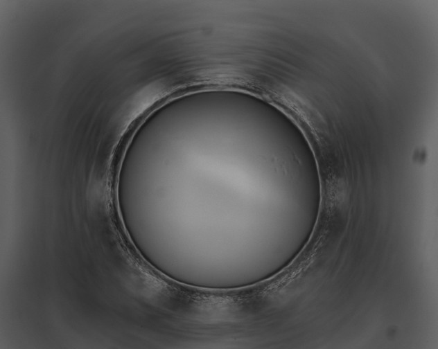 X0000095681071200801151120