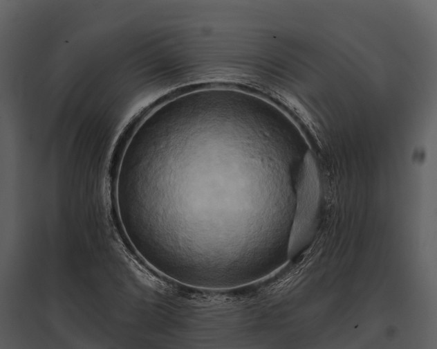 X0000095681072200801151120