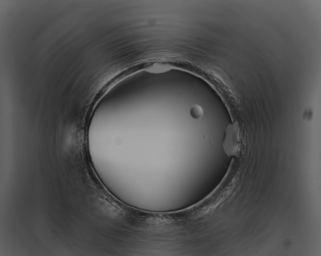 X0000095681073200801151120