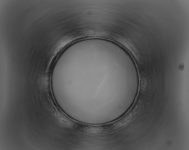 X0000095681074200801151120