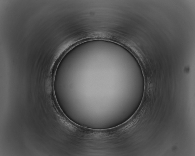 X0000095681075200801151120