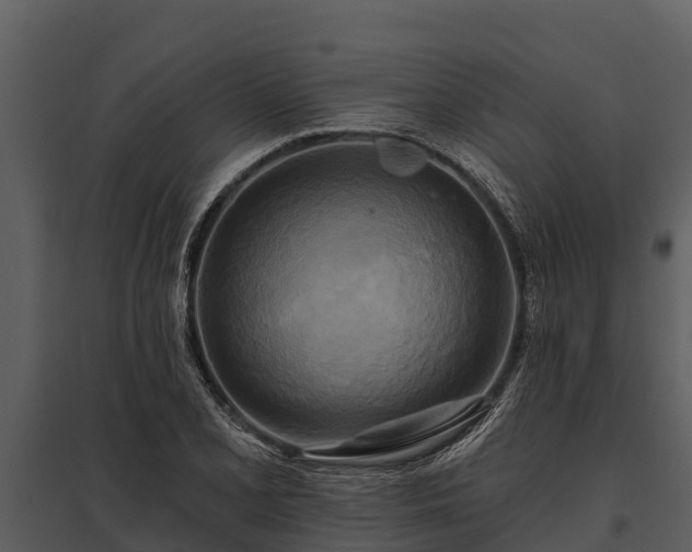 X0000095681077200801151120