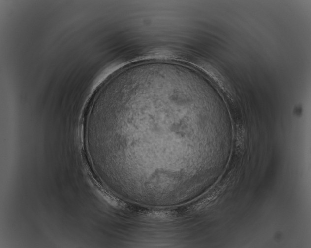 X0000095681078200801151120