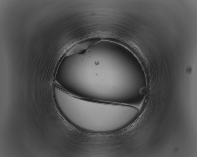 X0000095681081200801151120