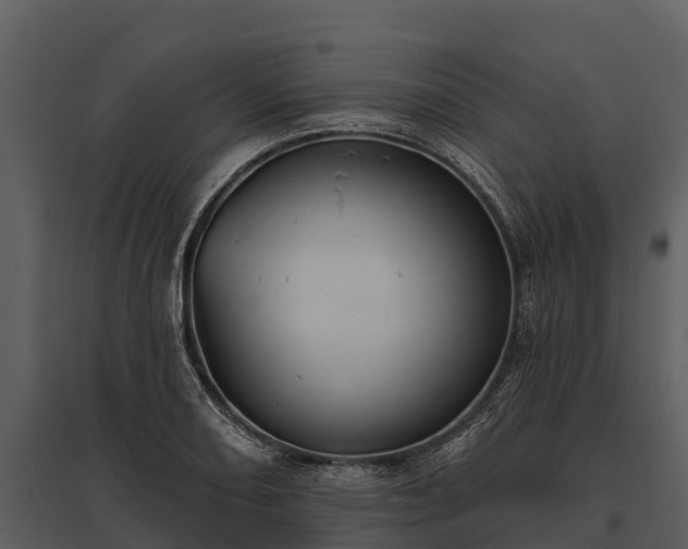 X0000095681082200801151120