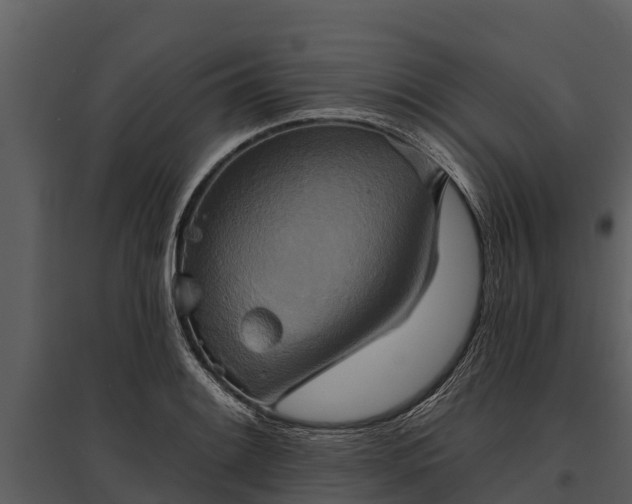 X0000095681084200801151120