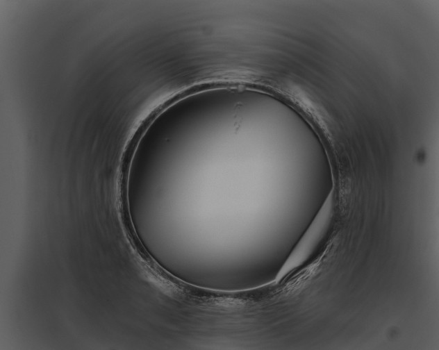 X0000095681085200801151120