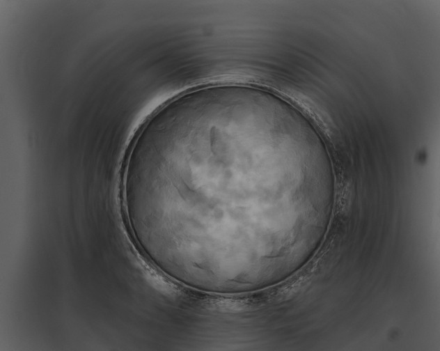 X0000095681086200801151120