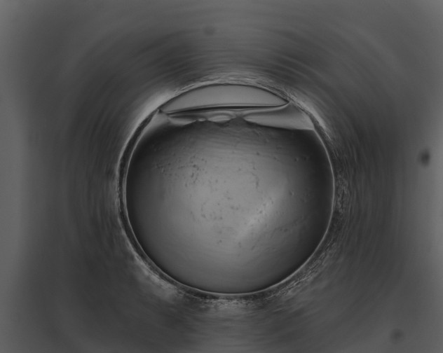 X0000095681087200801151120