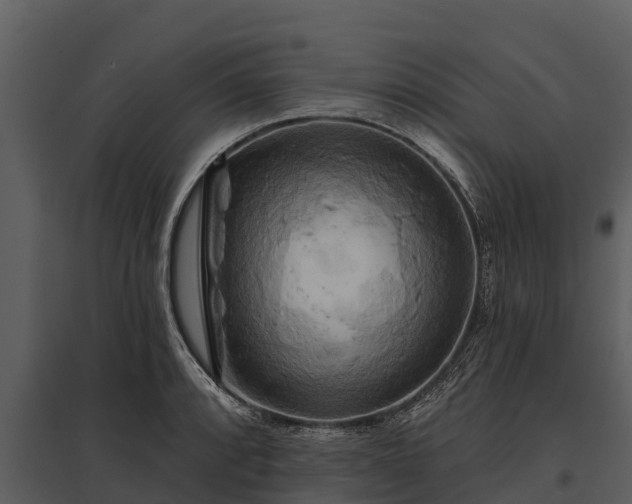 X0000095681088200801151120