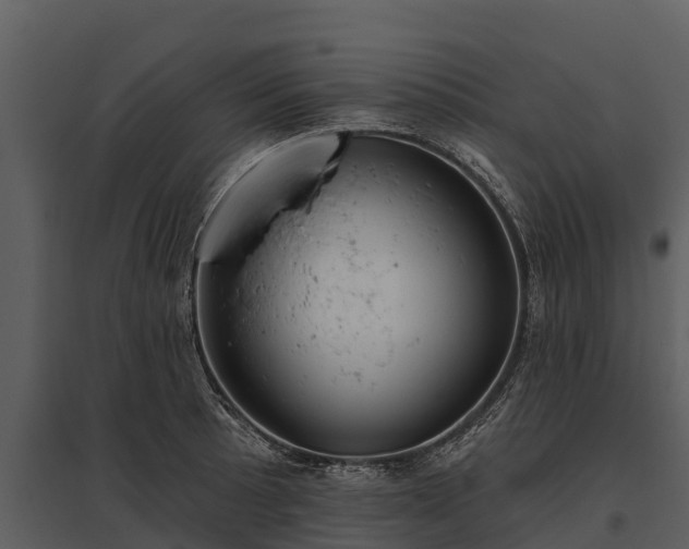 X0000095681089200801151120