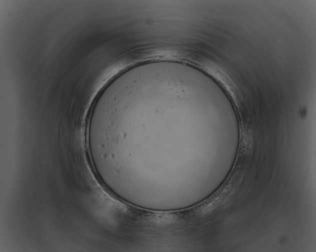 X0000095681090200801151120