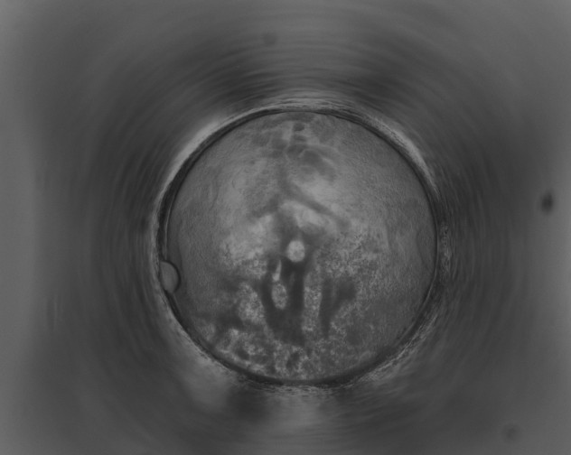 X0000095681091200801151120