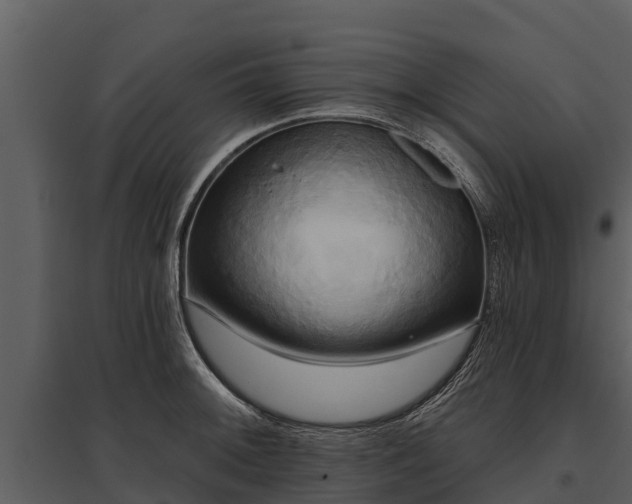 X0000095681092200801151120